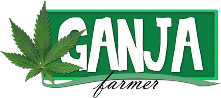 Ganja Farmer